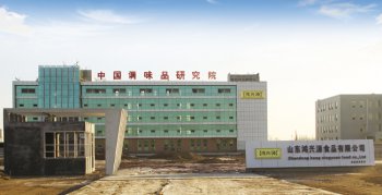 山東（dōng）鴻興源食品有（yǒu）限公司【