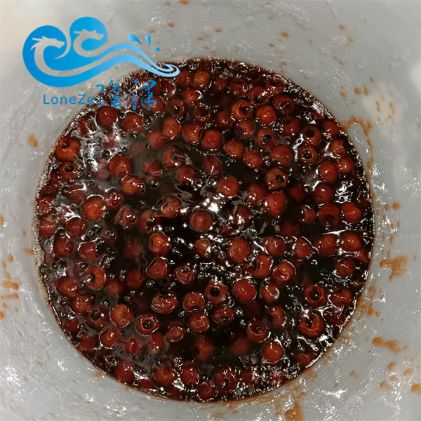 真空浸糖（táng）鍋