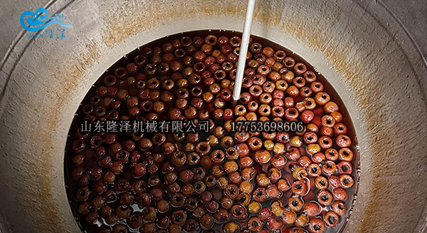 真空浸（jìn）糖鍋