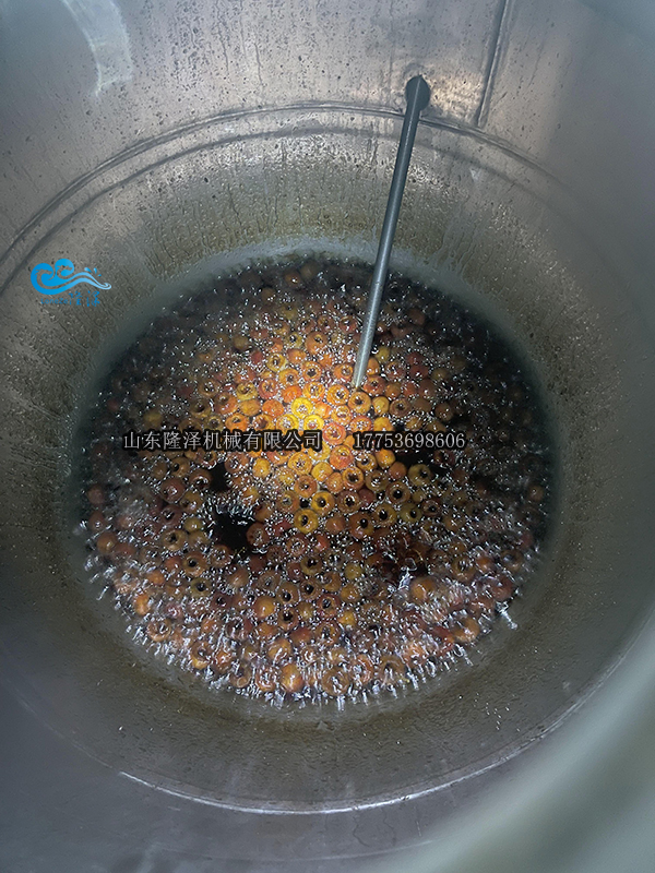 果脯真空浸糖（táng）鍋（guō）